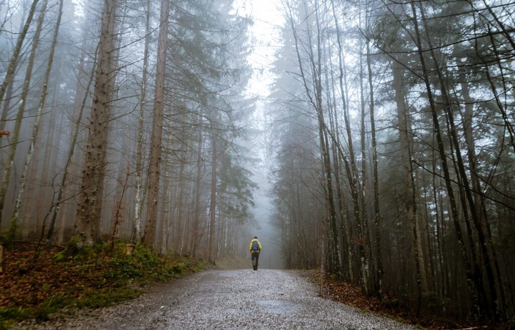 Image of a person whose lost himself in the forrest